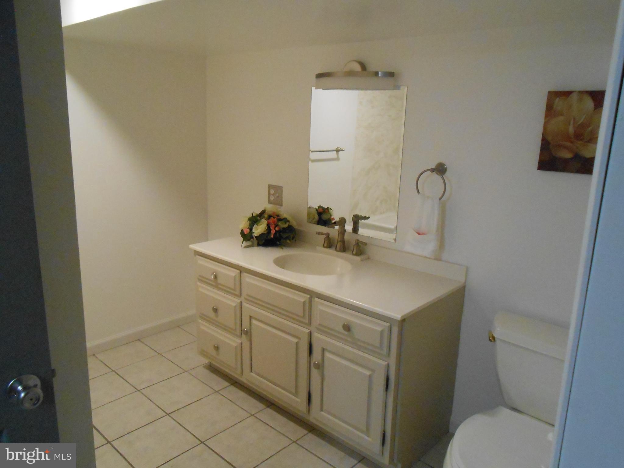 1252 Iron Bridge Road Columbia, PA 17512 - Photo 26 of 47 Lower level bathroom