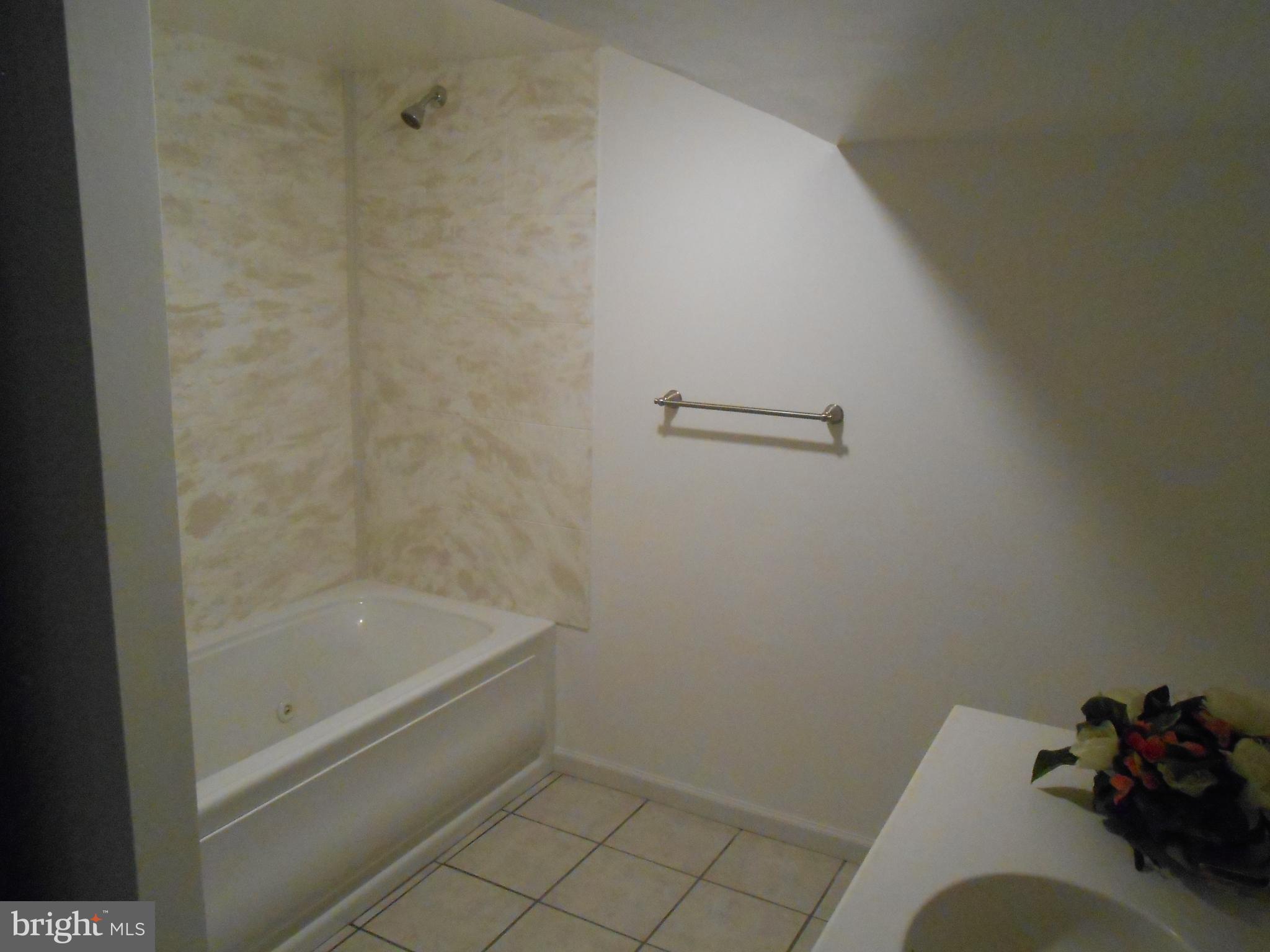1252 Iron Bridge Road Columbia, PA 17512 - Photo 27 of 47 Lower level bathroom
