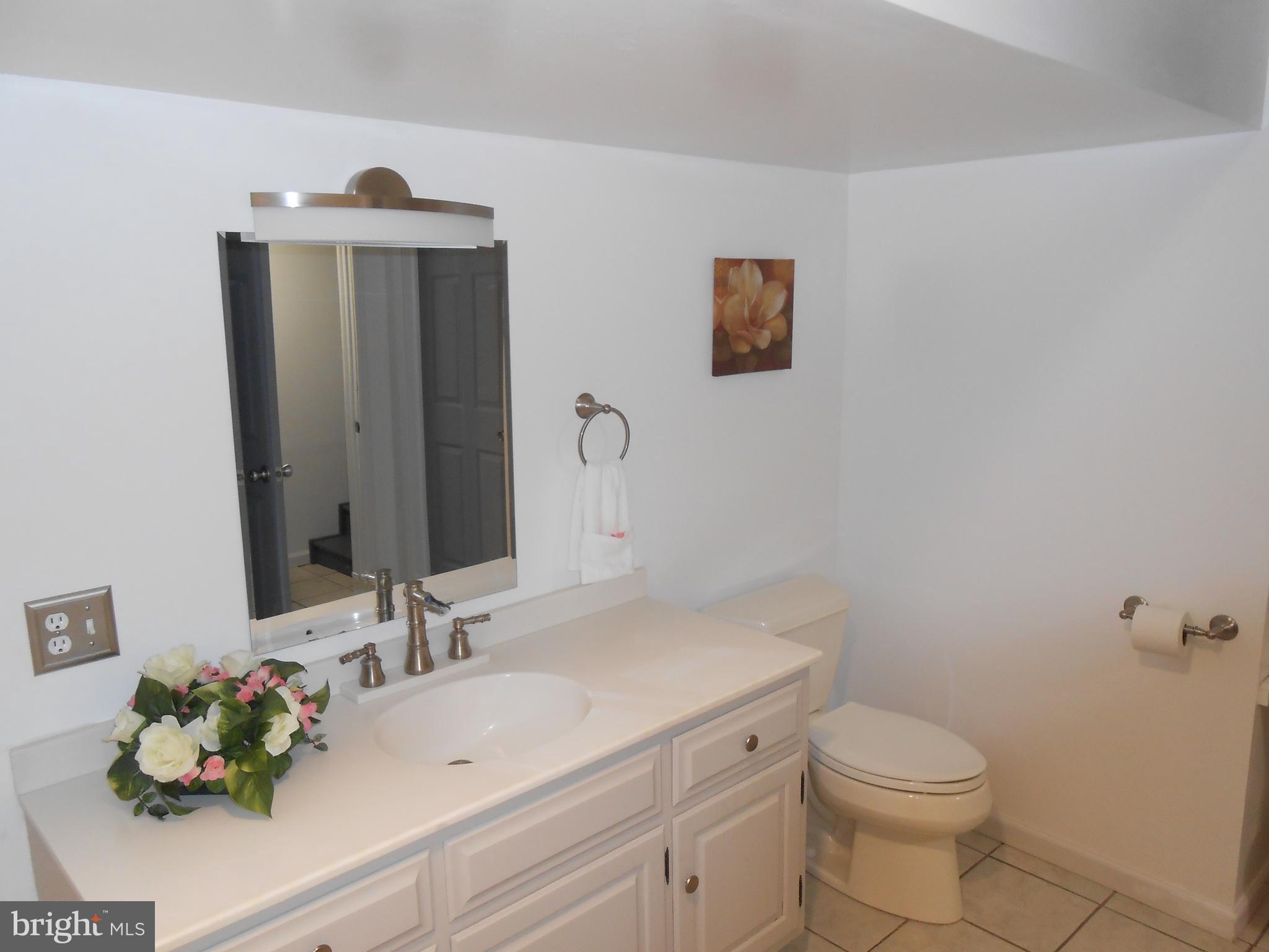 1252 Iron Bridge Road Columbia, PA 17512 - Photo 4 of 47 Lower level bathroom