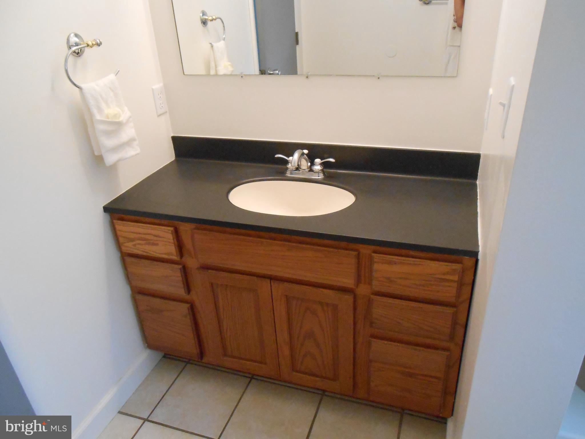 1252 Iron Bridge Road Columbia, PA 17512 - Photo 5 of 47 Main level bathroom