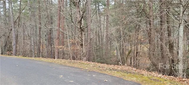 $50,000 | 35 Settlers Trail, Unit 35, Mars Hill, NC 28754