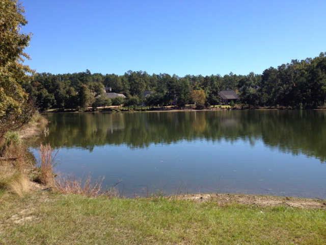 Lot 555 Forest Bluff Road Aiken, SC 29803 - Photo 11 of 18 Gallery Image 11