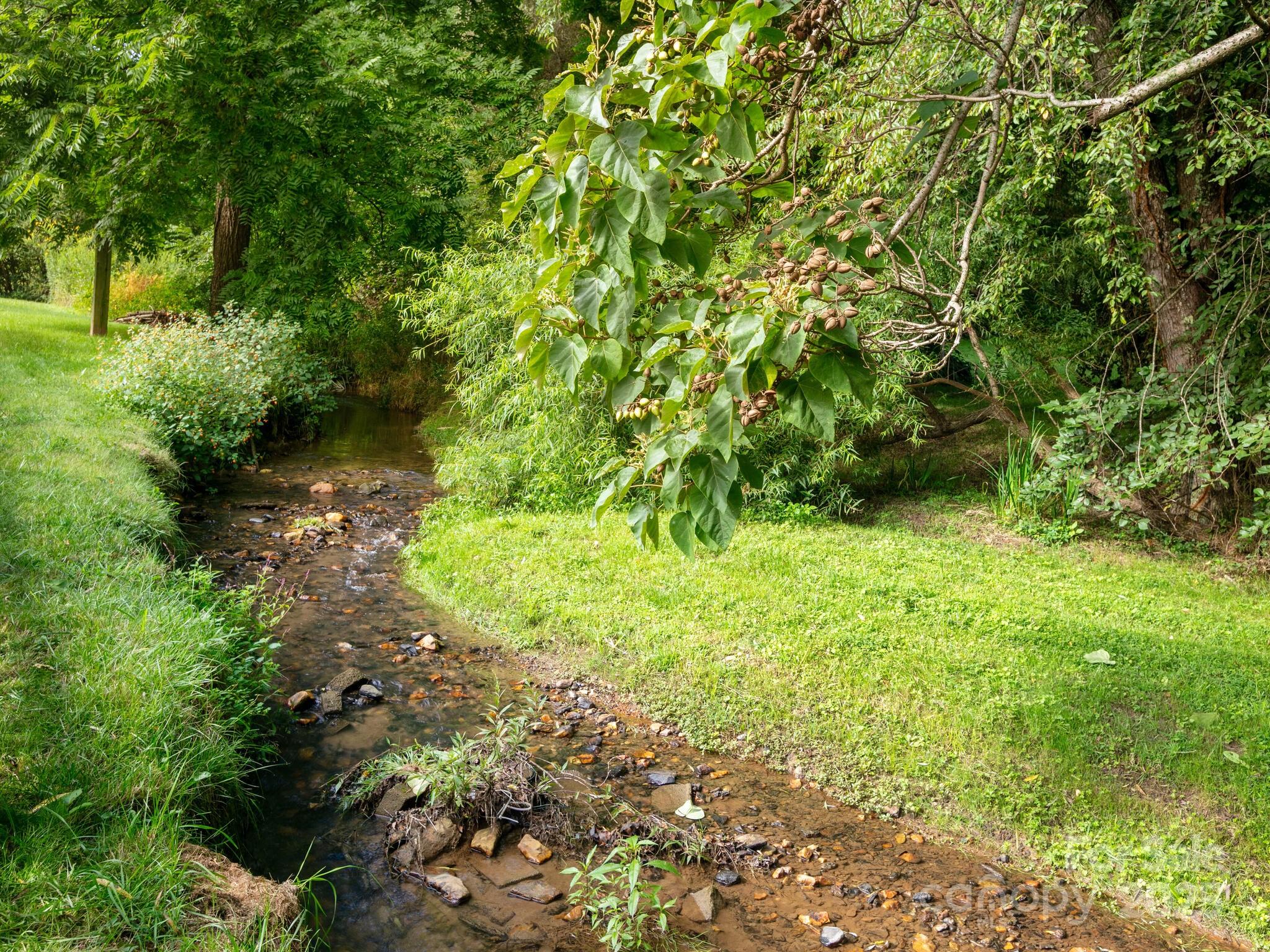 61 Village Street Clyde, NC 28721 - Photo 28 of 30 a view of a garden