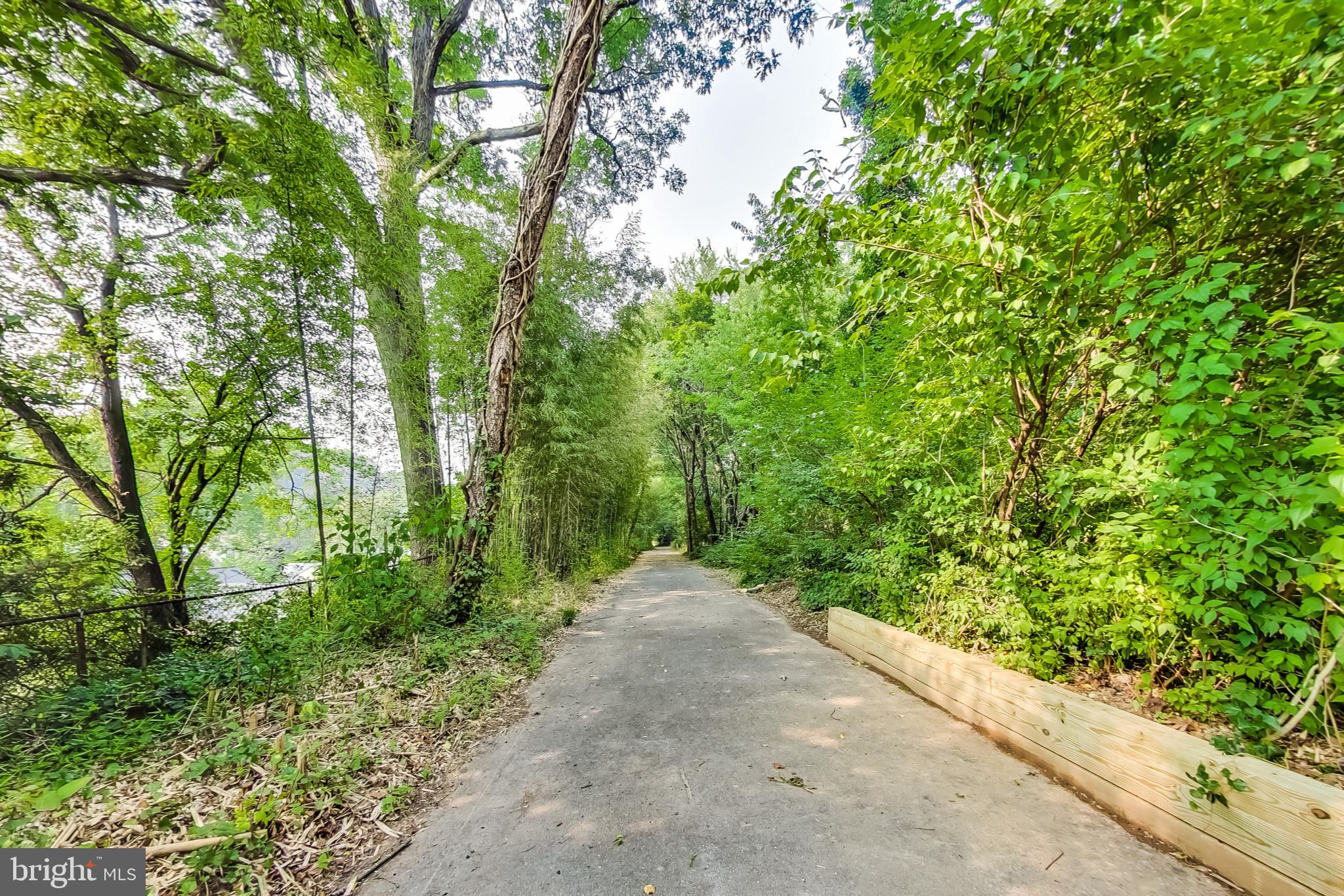 9608 Sutherland Road Silver Spring, MD 20901 - Photo 51 of 52