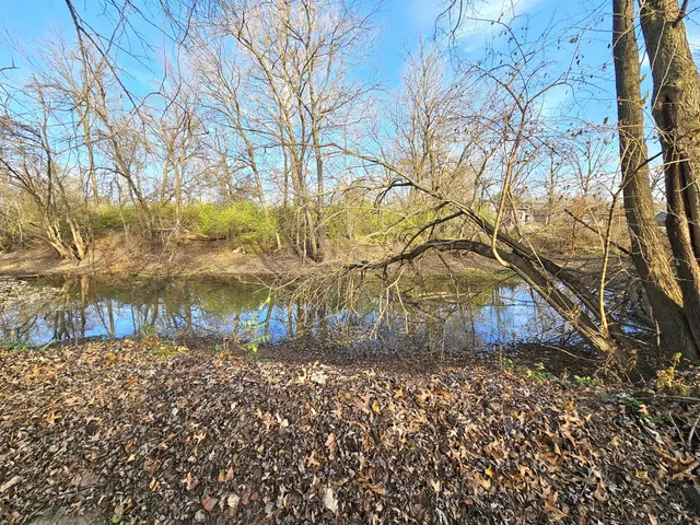 a view of yard with trees