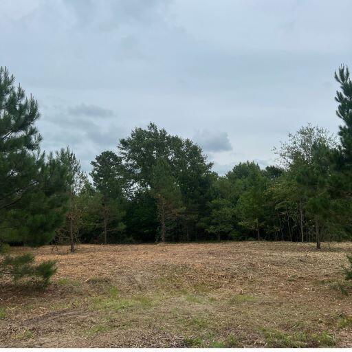Lot 18 Cooks Bridge Road Aiken, SC 29801 - Photo 1 of 15