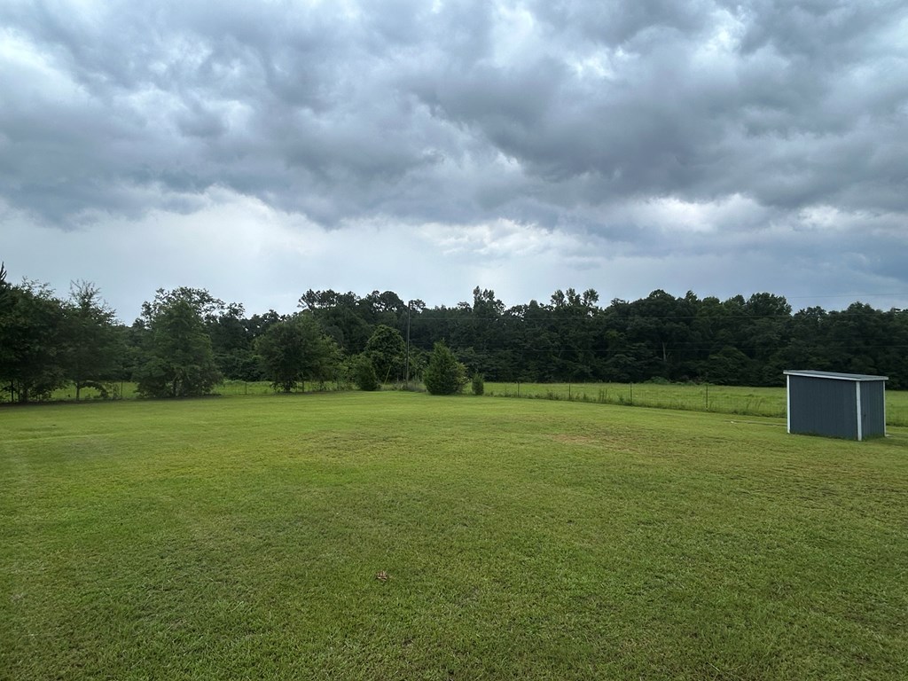 475 Gary Road Slocomb, AL 36375 - Photo 41 of 59