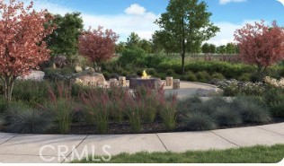 33436 Rusty Court French Valley, CA 92596 - Photo 13 of 14 a view of a yard