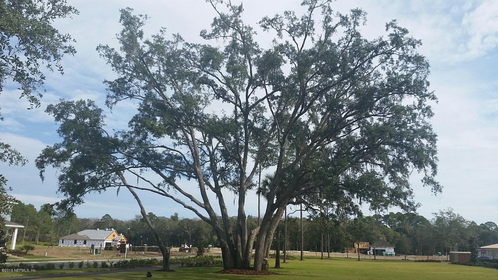 547 Stone Ridge Drive Ponte Vedra, FL 32081 - Photo 9 of 9 TM Trees