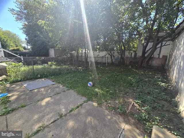 a view of a park with large trees