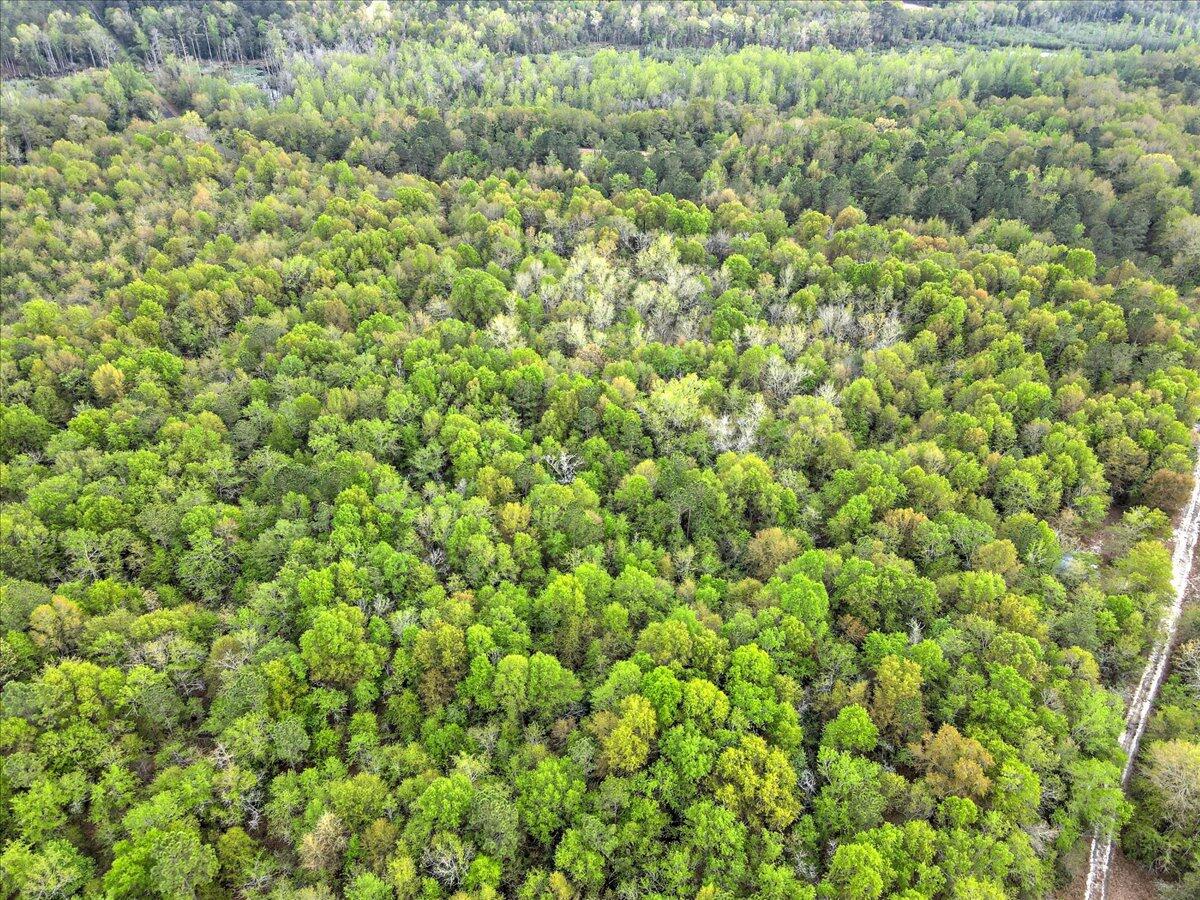 0 Millers Pond Road, Unit LOT 5 Salley, SC 29137 - Photo 10 of 13