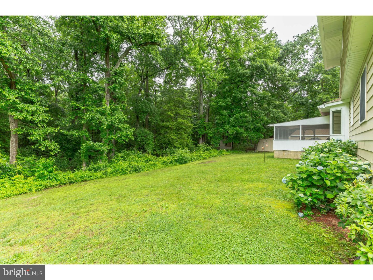364 Maskells Mill Road Salem, NJ 08079 - Photo 23 of 24 Back Yard