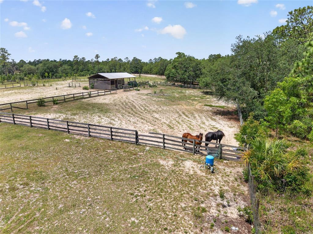 1098 Northwest 165th Ct Road Dunnellon, FL 34432 - Photo 34 of 35
