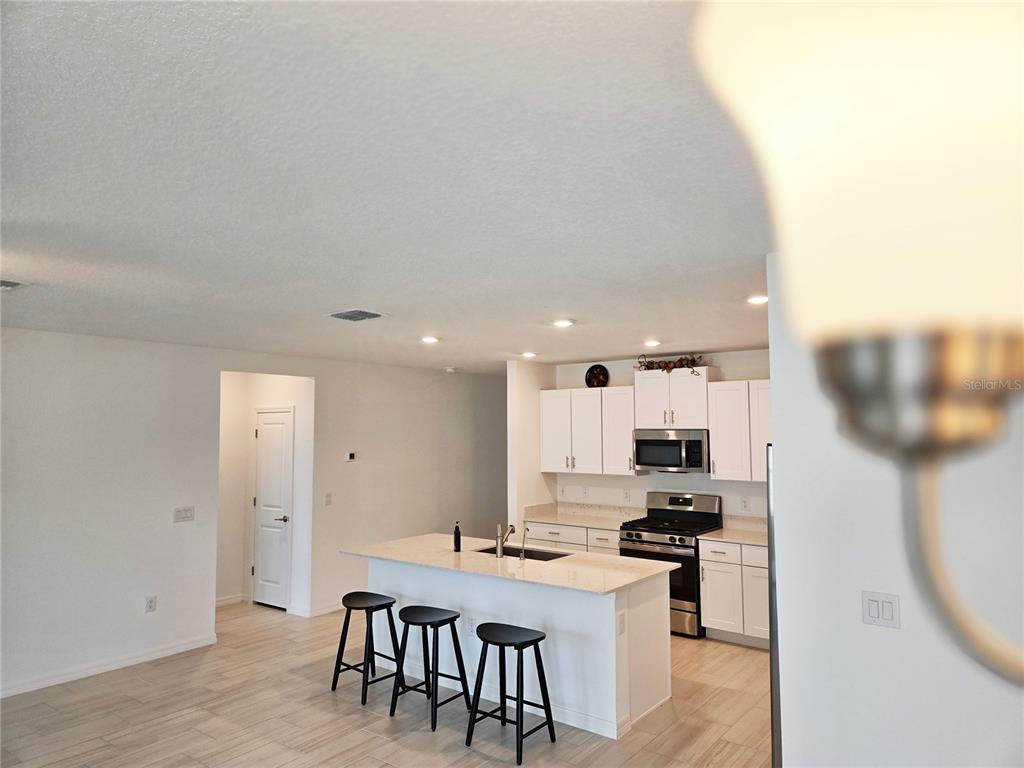 22083 Nebula Way Land O Lakes, FL 34637 - Photo 11 of 33