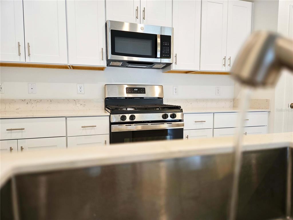 22083 Nebula Way Land O Lakes, FL 34637 - Photo 9 of 33