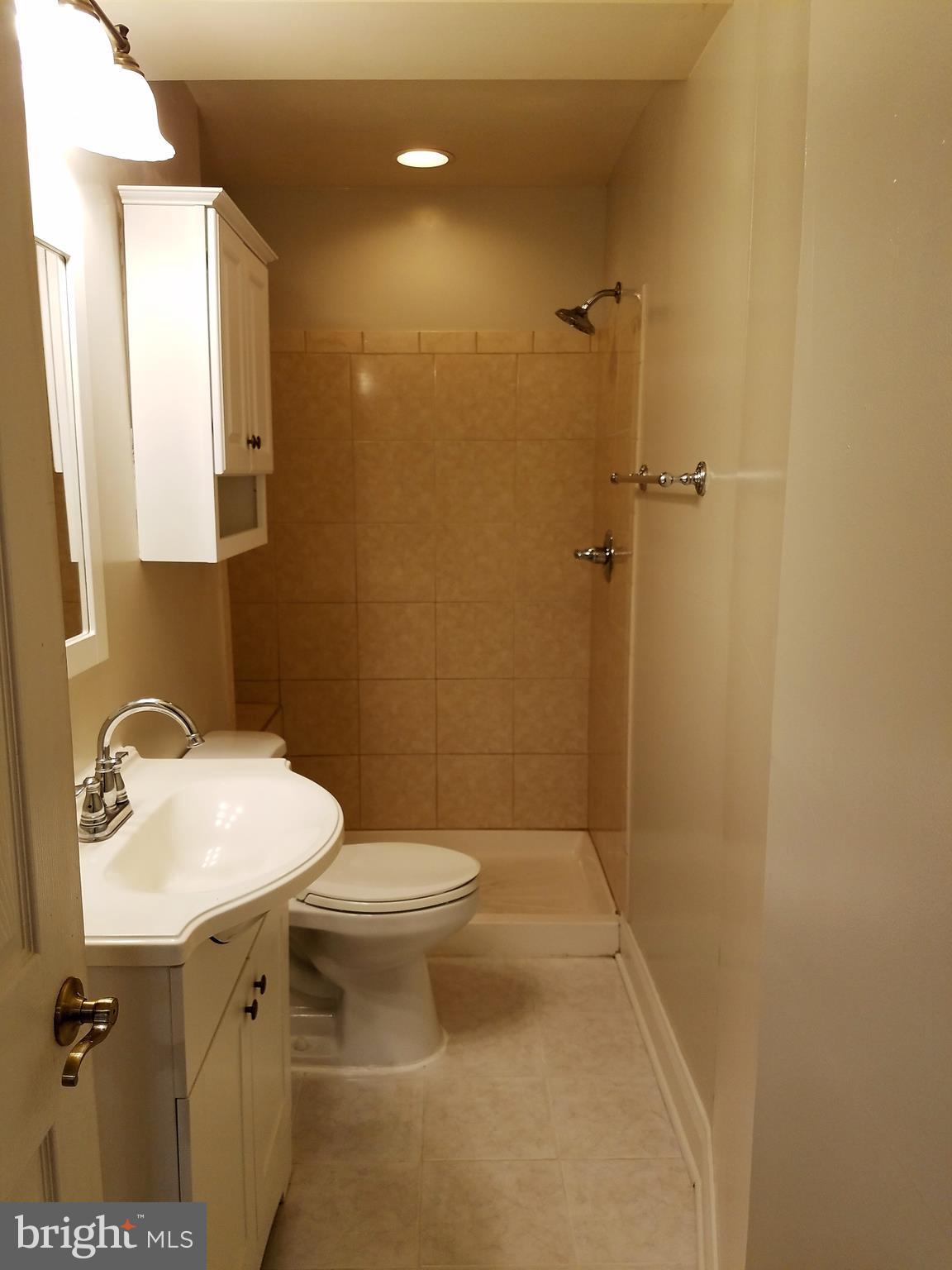 113 Applecreek Road Frederick, MD 21702 - Photo 16 of 22 Downstairs full bath with walk-in shower