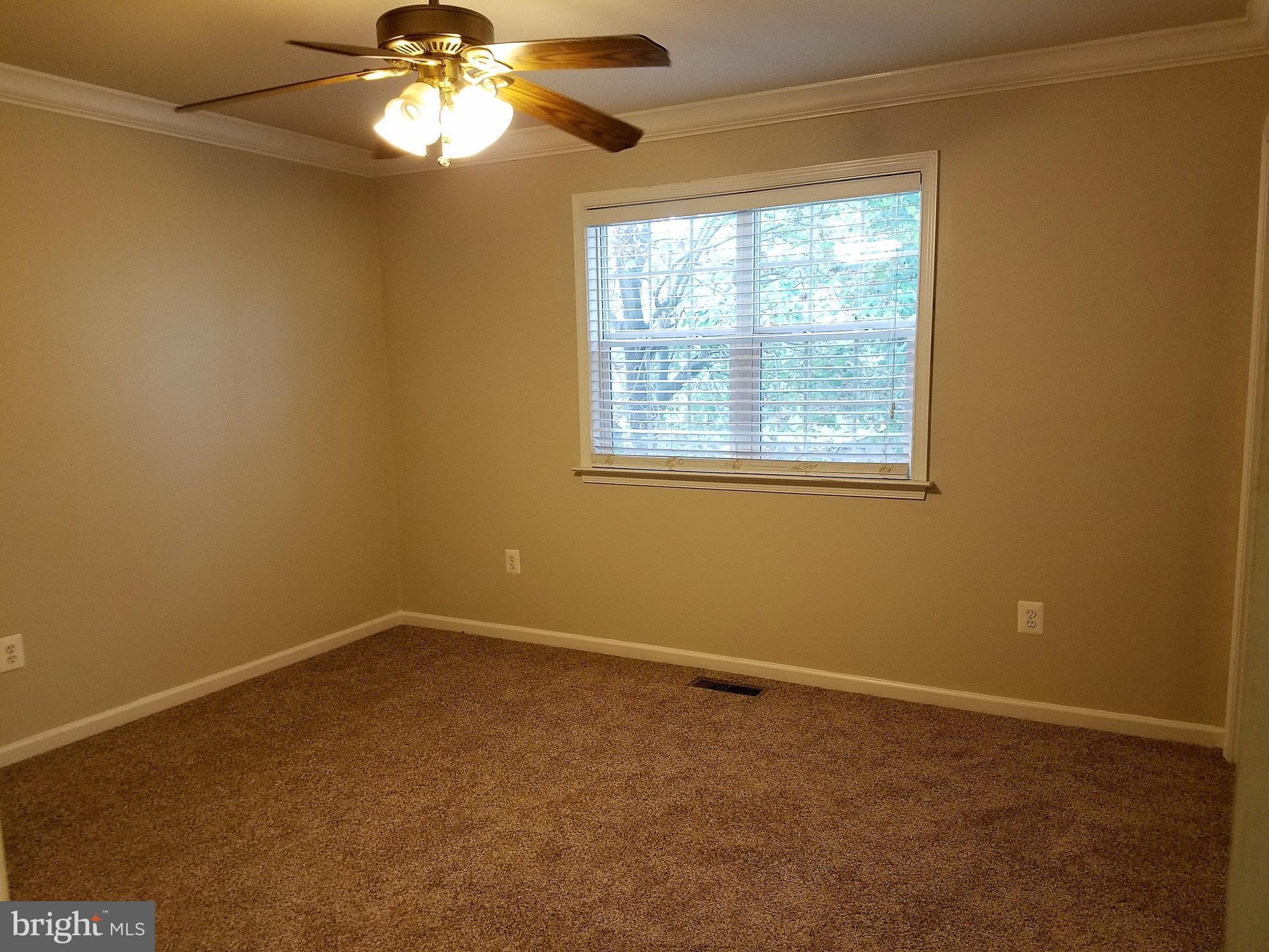 113 Applecreek Road Frederick, MD 21702 - Photo 17 of 22 Master bedroom with new carpet