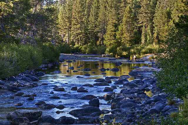 6280 River Road Truckee, CA 96161 - Photo 4 of 9 Gallery Image 4