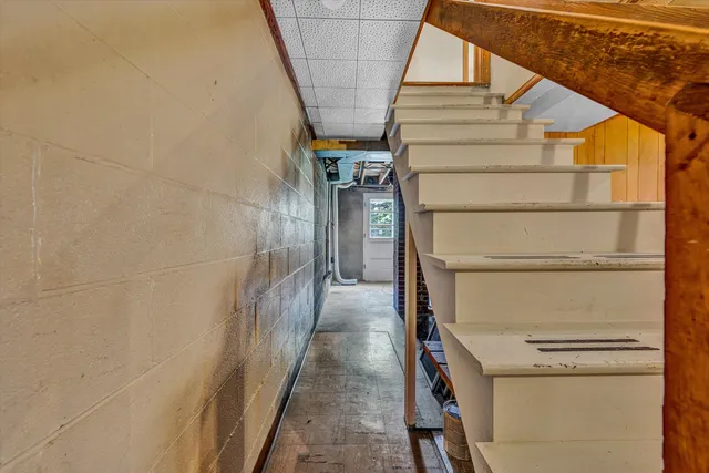 a view of a field with a tree in the background