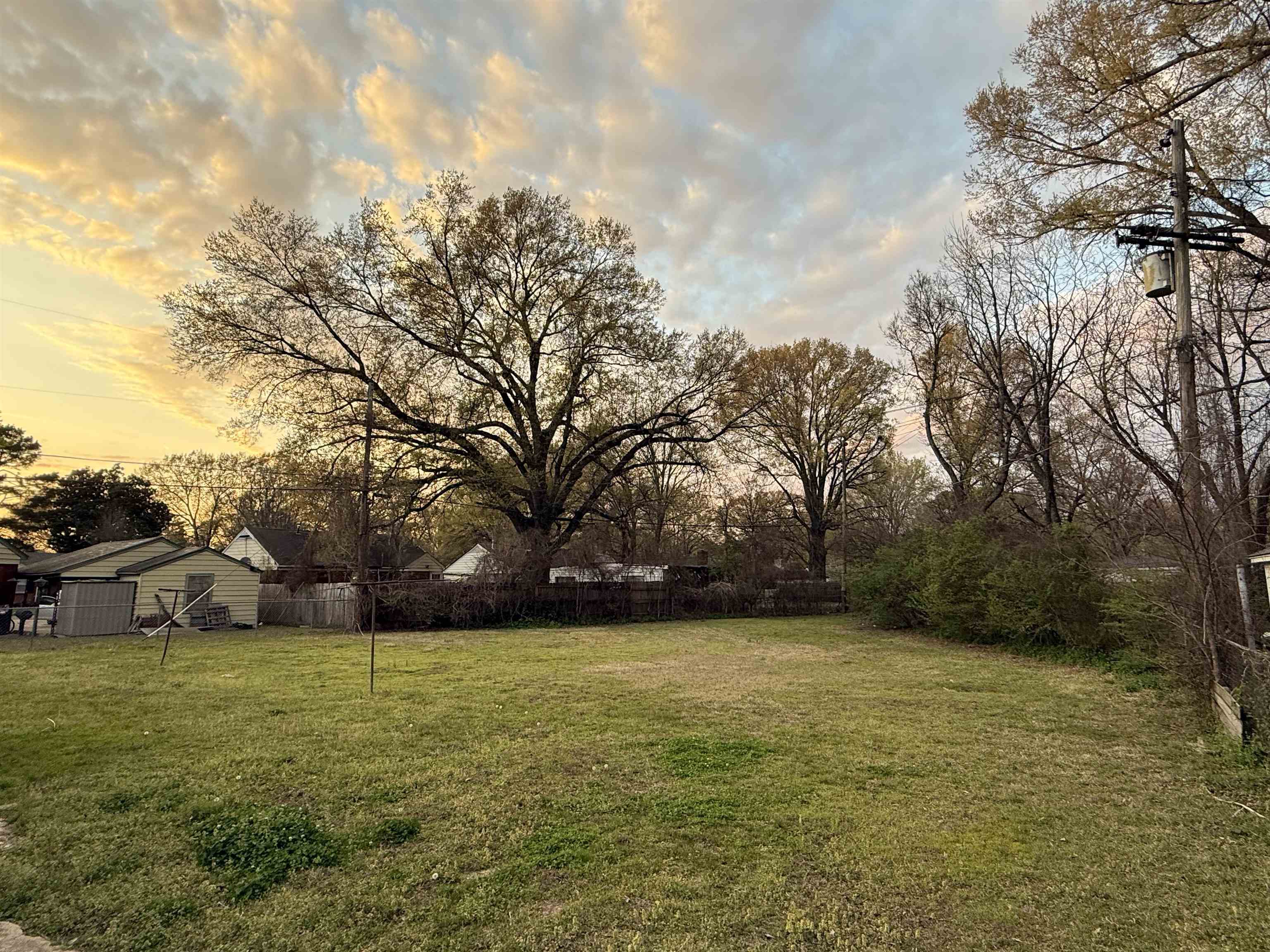 4408 Jamerson Road Memphis, TN 38122 - Photo 14 of 16 a view of yard with large trees
