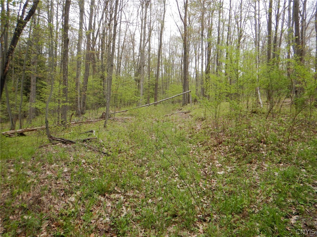 Wightman Road Wellsville, NY 14895 - Photo 14 of 45