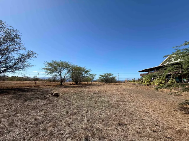 a view of a dirt road with large trees