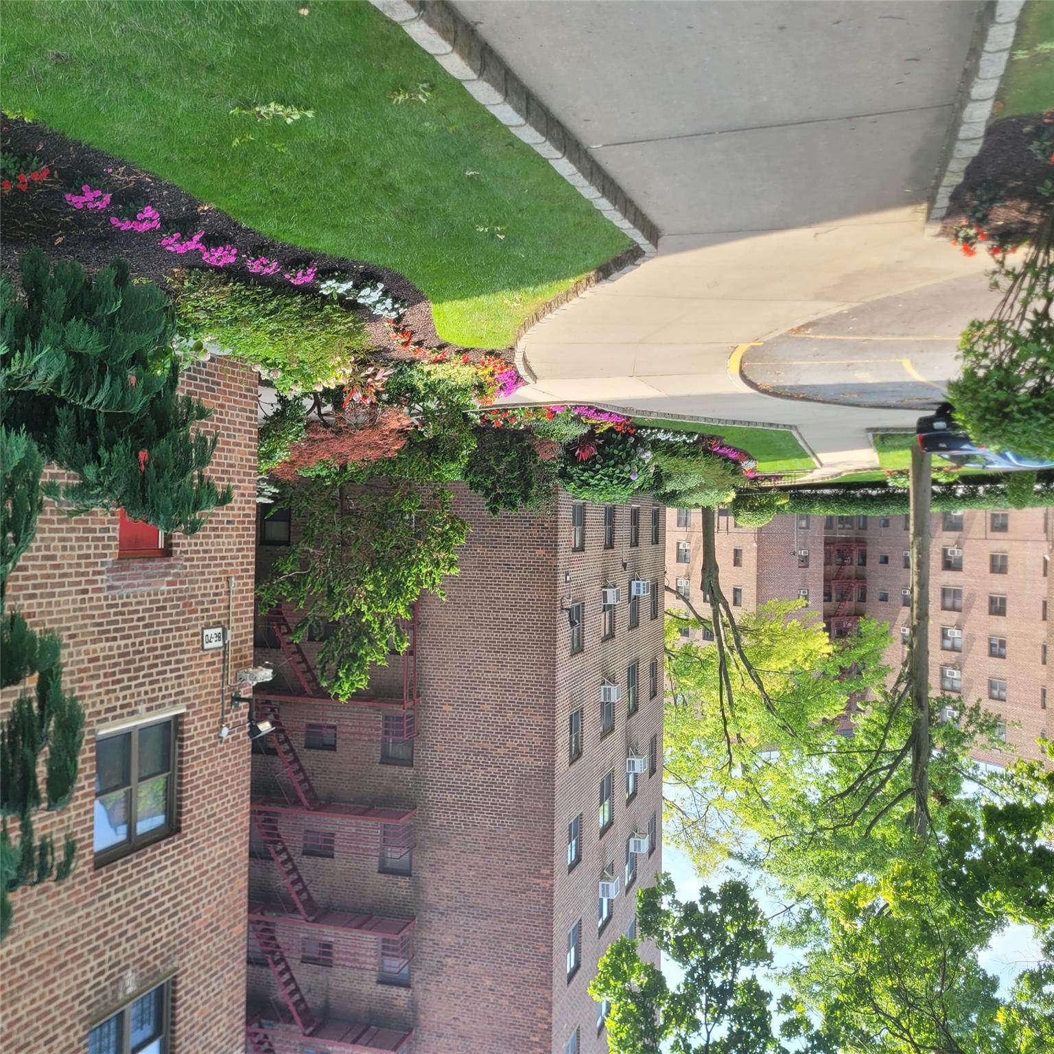 a view of a garden with a pathway