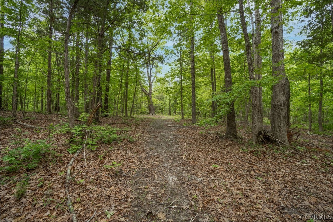 4325 Worsham Road Powhatan, VA 23139 - Photo 6 of 42 Enjoy your own private walking trail!