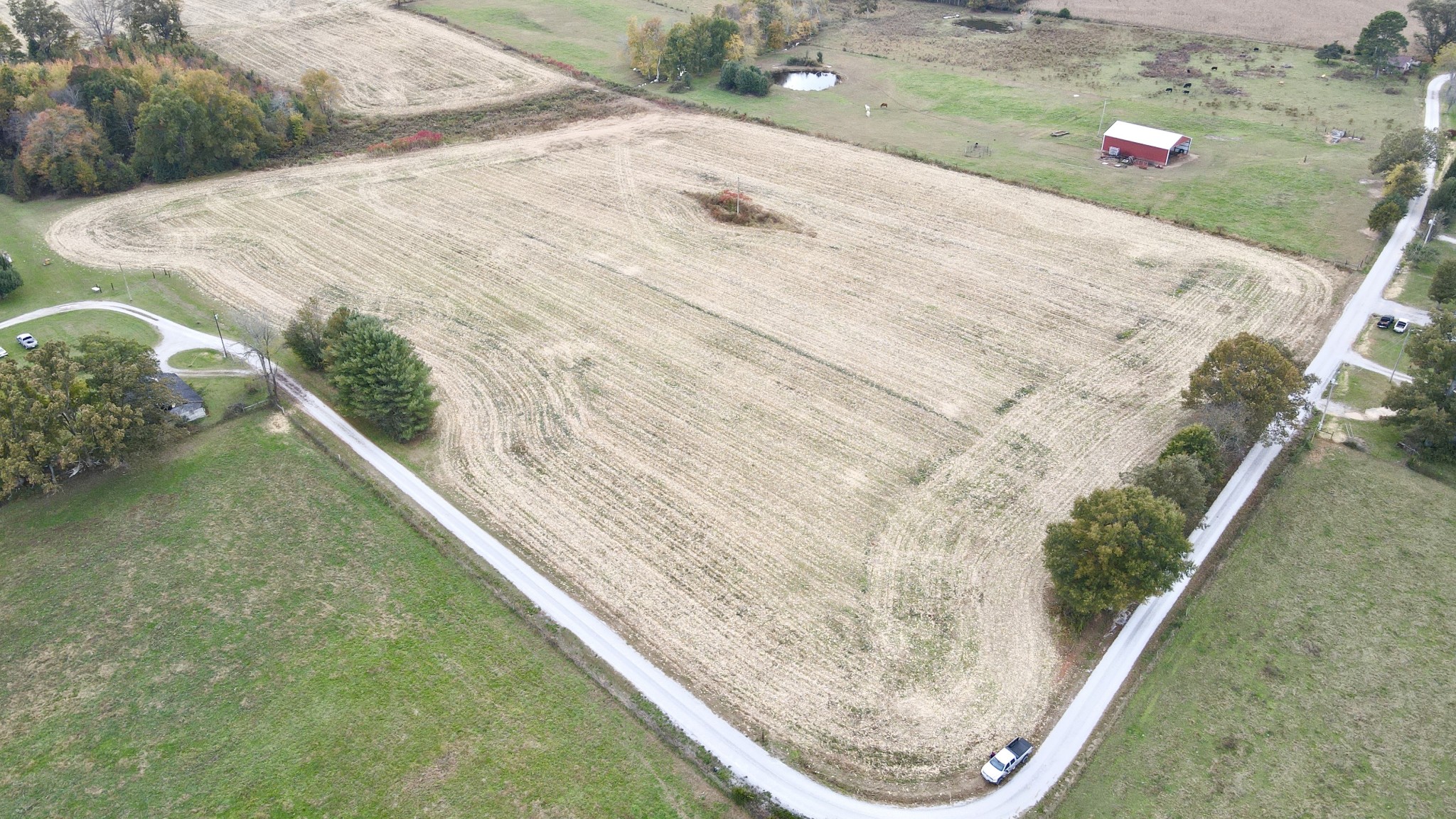 0 Rackley Road Morrison, TN 37357 - Photo 3 of 6 a view of a small pond