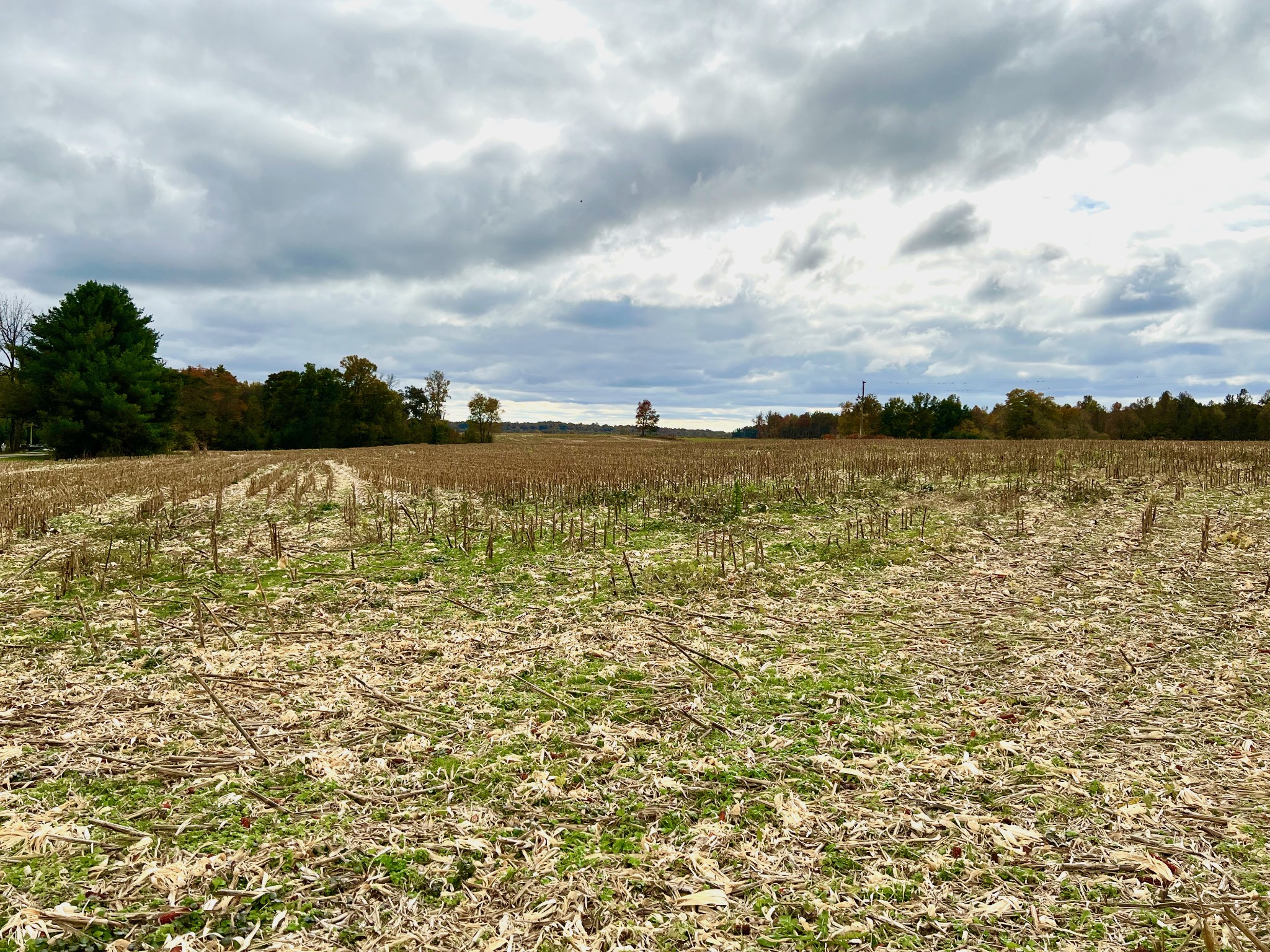 0 Rackley Road Morrison, TN 37357 - Photo 4 of 6 a view of an ocean