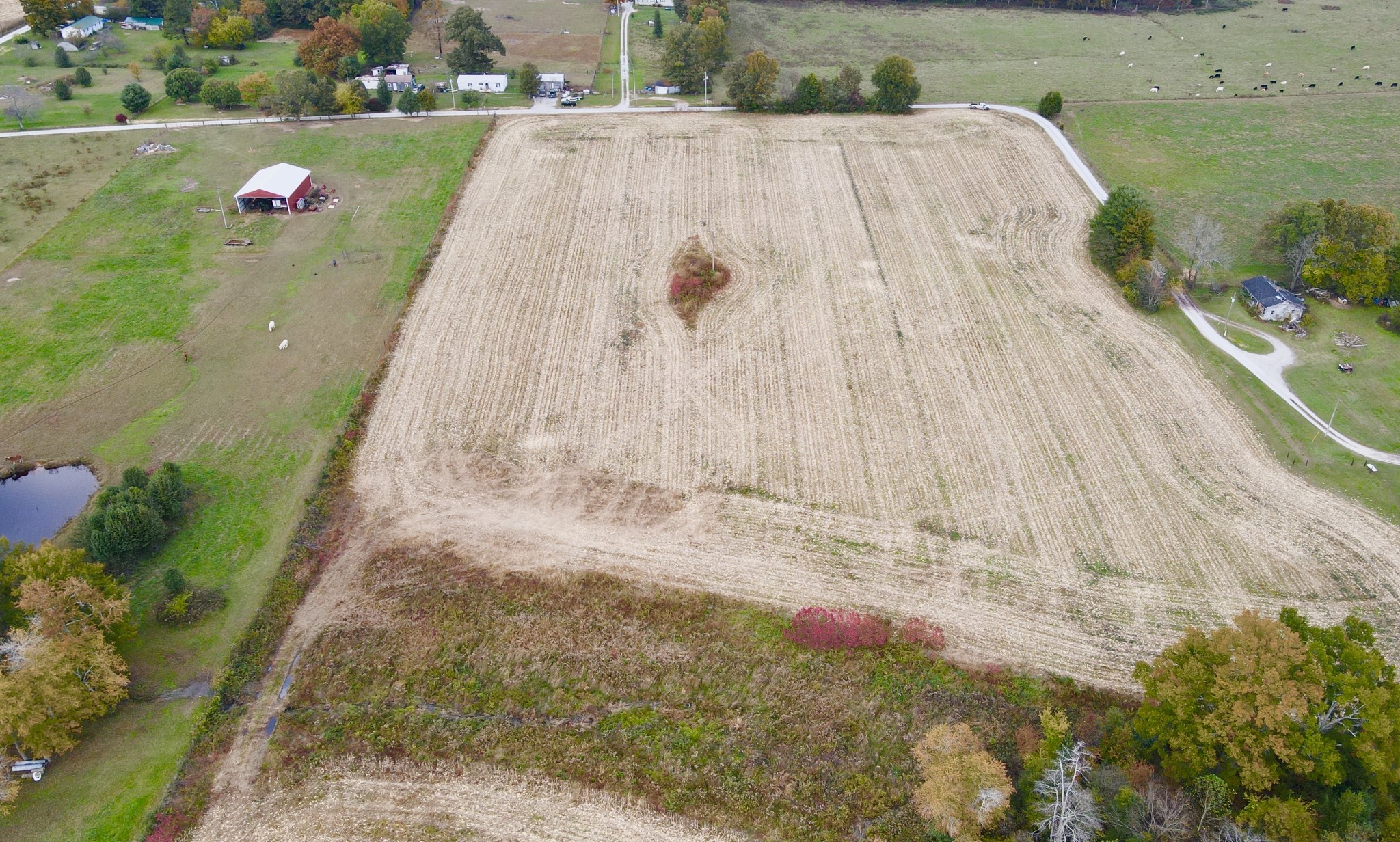 0 Rackley Road Morrison, TN 37357 - Photo 6 of 6 a view of outdoor space and yard