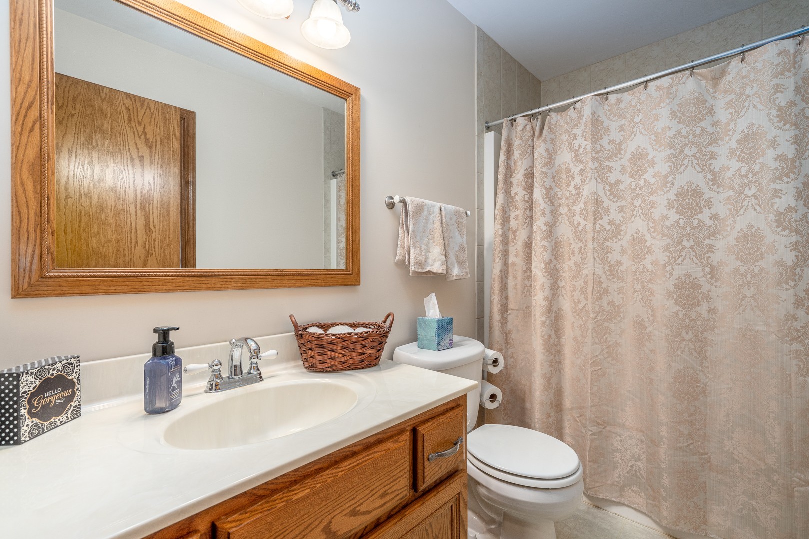 1715 Willow Road Morris, IL 60450 - Photo 19 of 22 a bathroom with a sink a toilet and a mirror