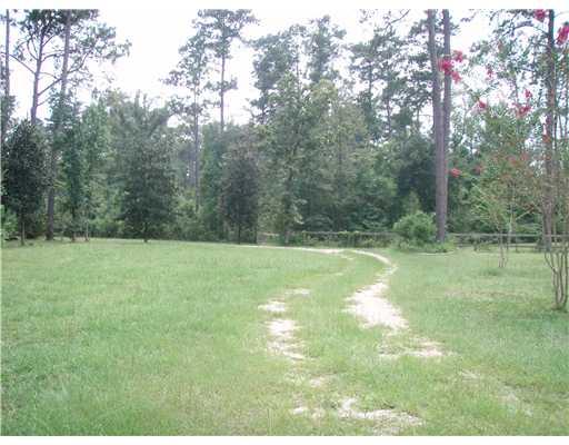 49130 Turnpike Road Folsom, LA 70437 - Photo 19 of 20 Gallery Image 19