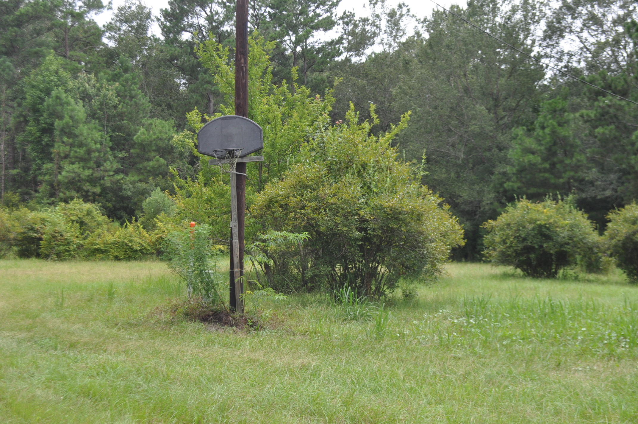 8150 Bing Hill Road Adams Run, SC 29426 - Photo 1 of 7 DSC_0005