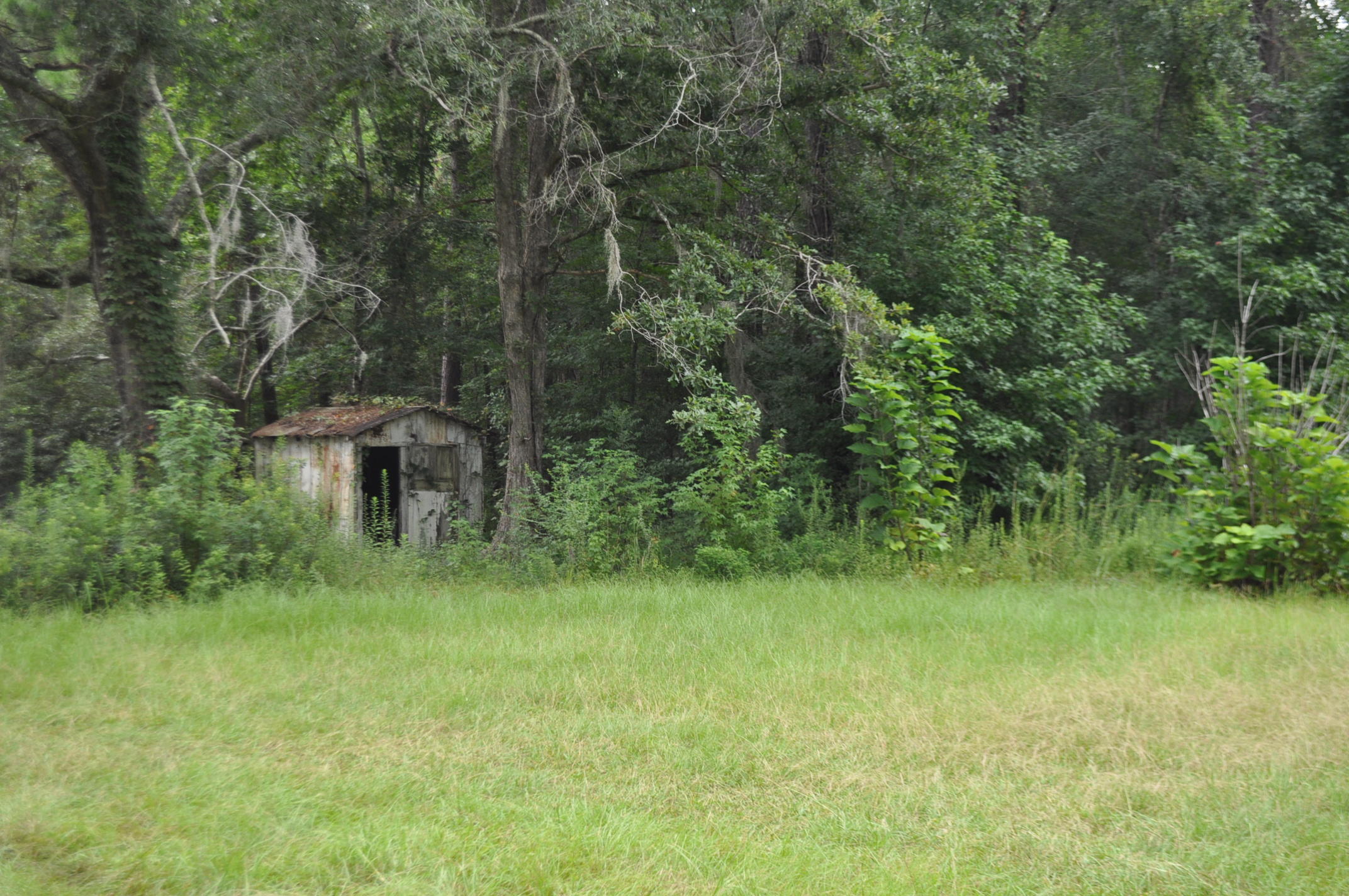 8150 Bing Hill Road Adams Run, SC 29426 - Photo 2 of 7 DSC_0010