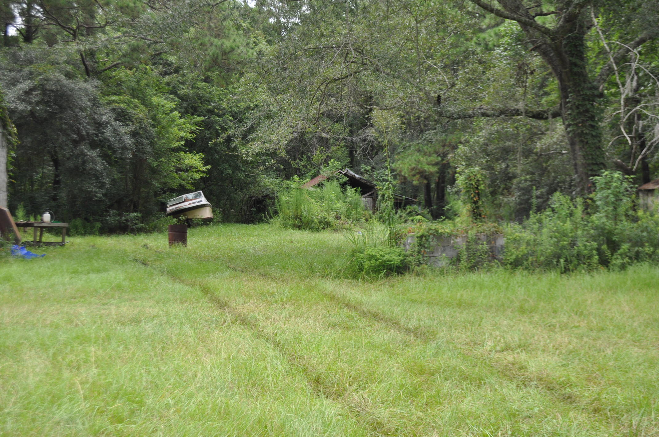 8150 Bing Hill Road Adams Run, SC 29426 - Photo 3 of 7 DSC_0009