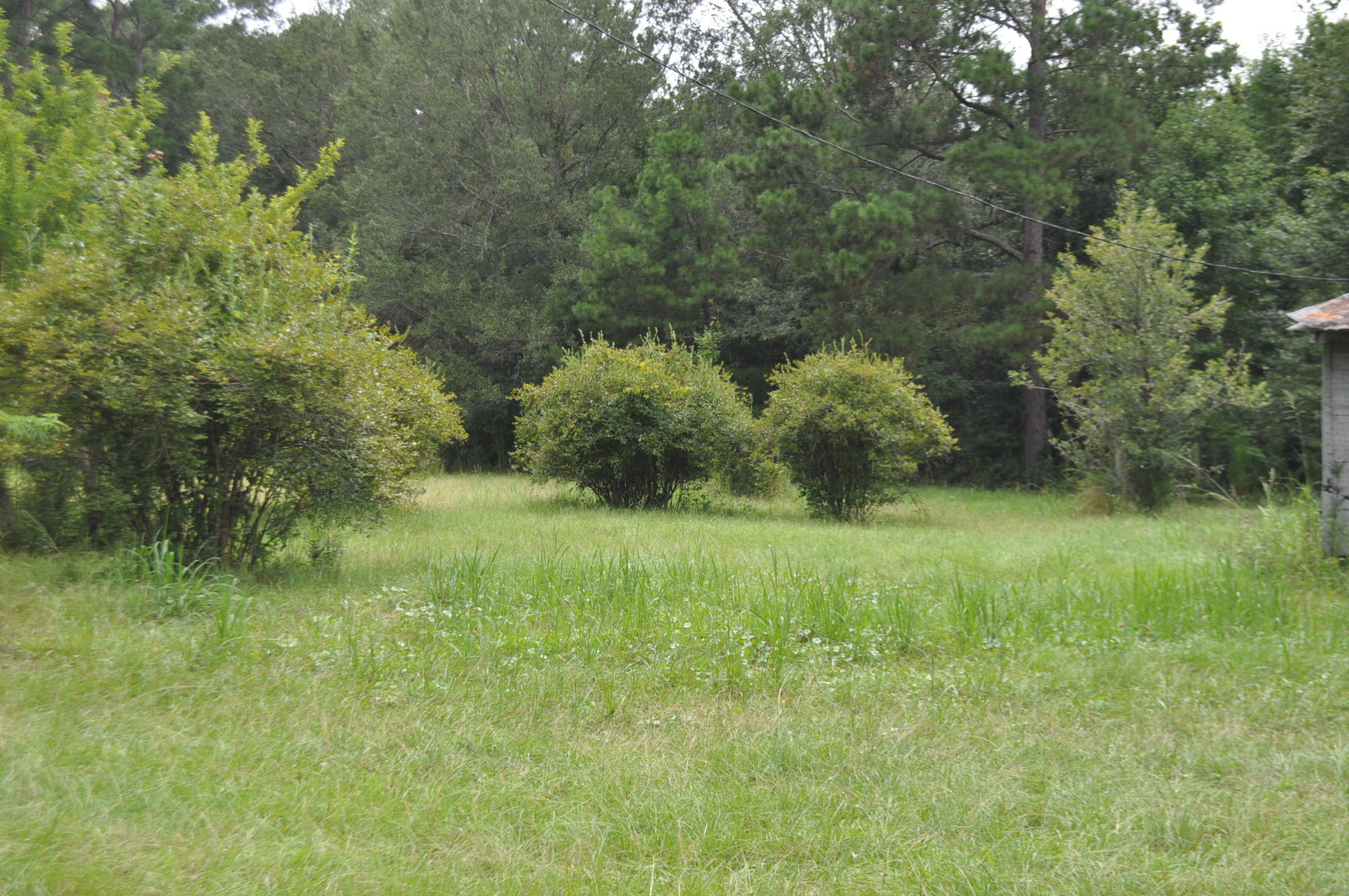 8150 Bing Hill Road Adams Run, SC 29426 - Photo 4 of 7 DSC_0012