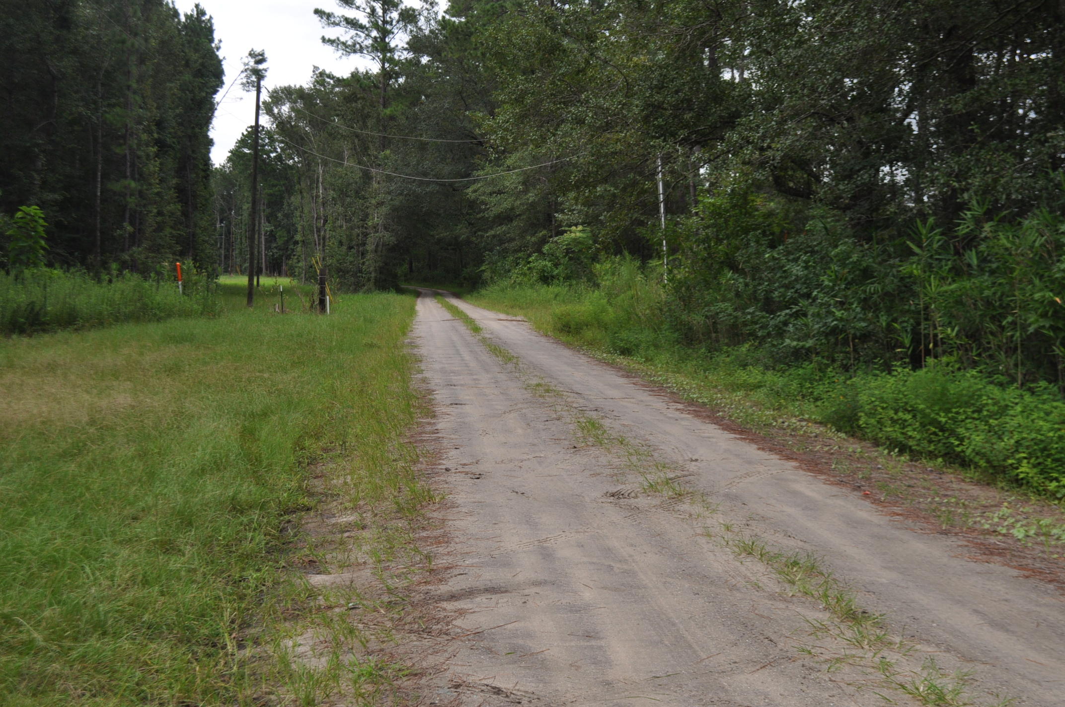 8150 Bing Hill Road Adams Run, SC 29426 - Photo 5 of 7 DSC_0013