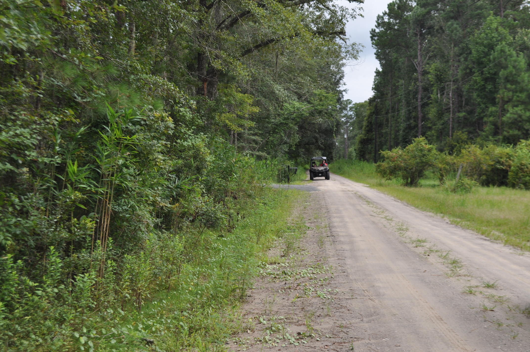 8150 Bing Hill Road Adams Run, SC 29426 - Photo 6 of 7 DSC_0014