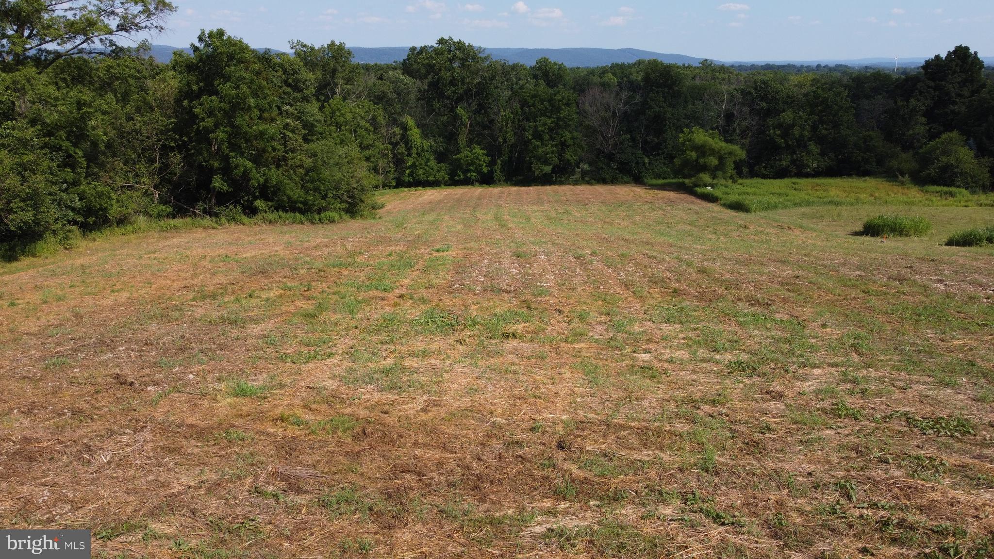 407 Oley Furnace Road Oley, PA 19547 - Photo 5 of 10