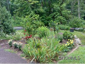 497 Old Fiddle Road Waynesville, NC 28786 - Photo 22 of 24