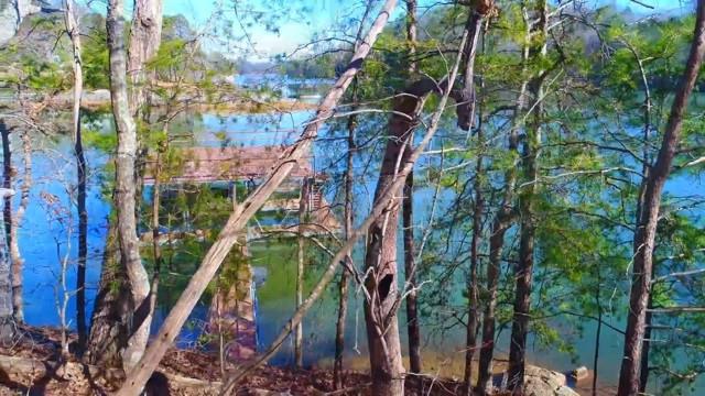 7 Chestatee View Drive Dawsonville, GA 30534 - Photo 12 of 20 Gallery Image 12