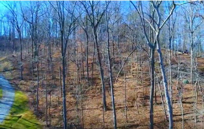 7 Chestatee View Drive Dawsonville, GA 30534 - Photo 17 of 20 Gallery Image 17