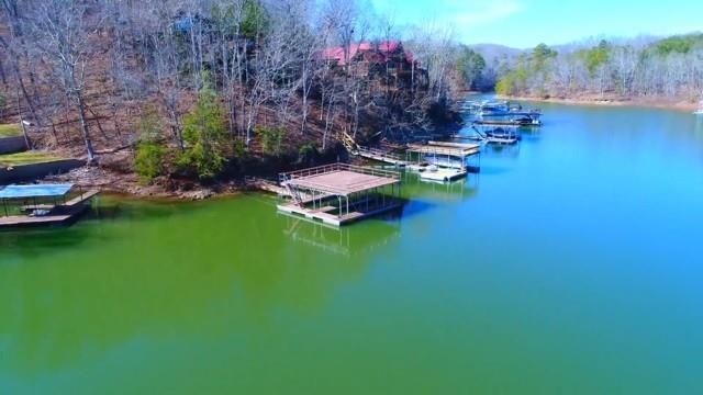 7 Chestatee View Drive Dawsonville, GA 30534 - Photo 8 of 20 Gallery Image 8