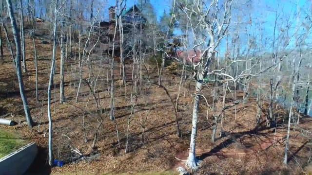 7 Chestatee View Drive Dawsonville, GA 30534 - Photo 10 of 20 Gallery Image 10