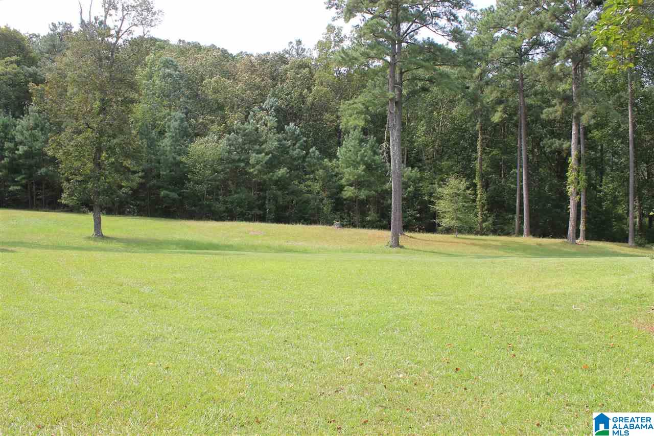412 Lovejoy Road Ashville, AL 35953 - Photo 18 of 23