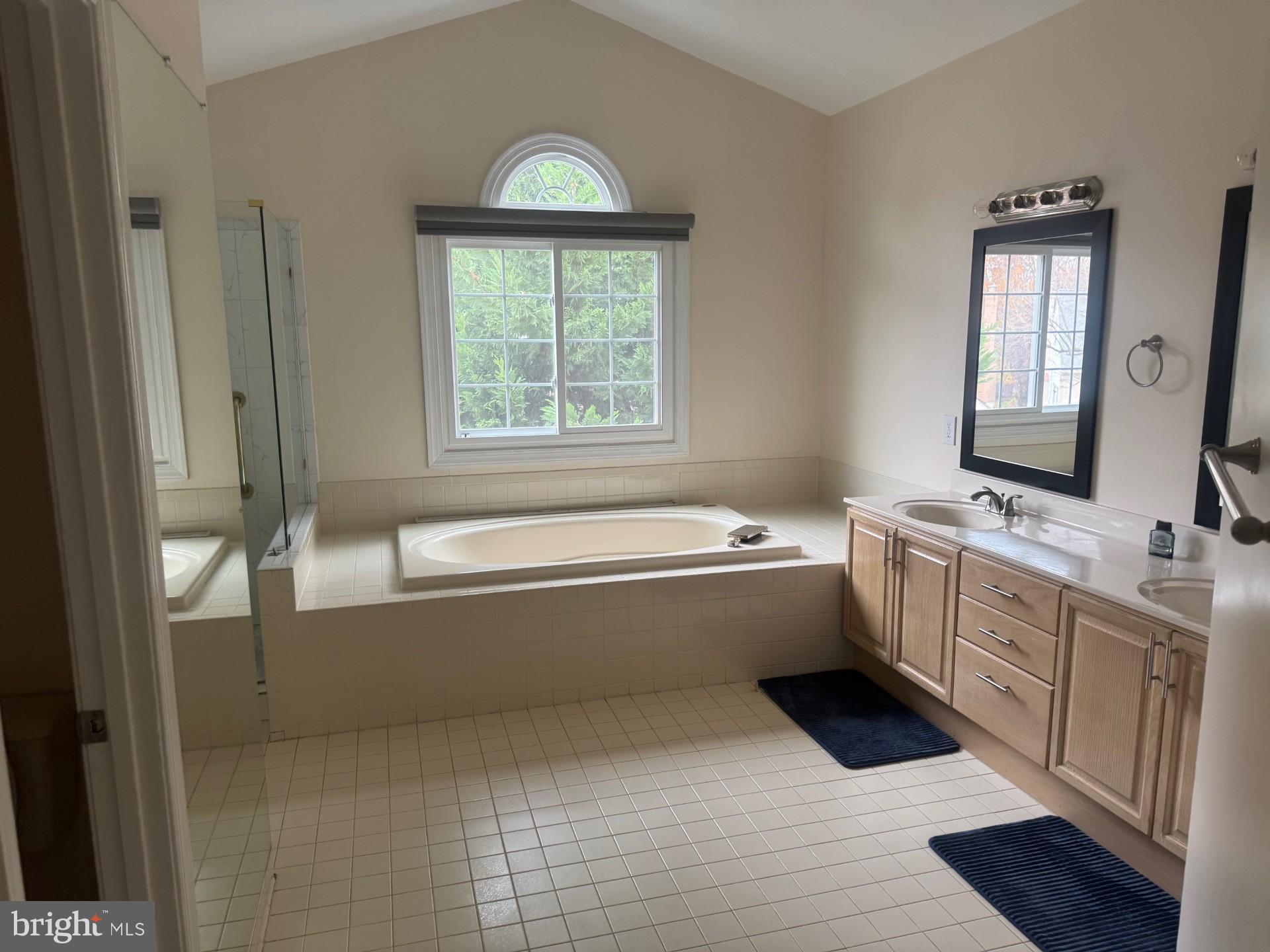 8143 Ridge Creek Way Springfield, VA 22153 - Photo 18 of 42 a bathroom with a bathtub sink and mirror