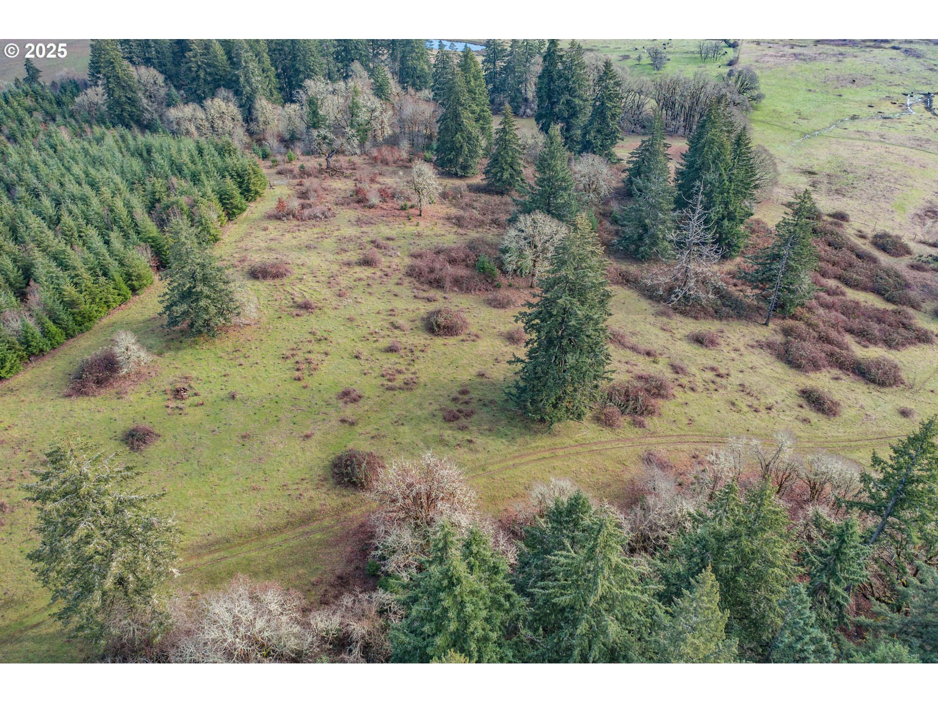 0 Airlie Road Monmouth, OR 97361 - Photo 20 of 33 Gallery Image 20