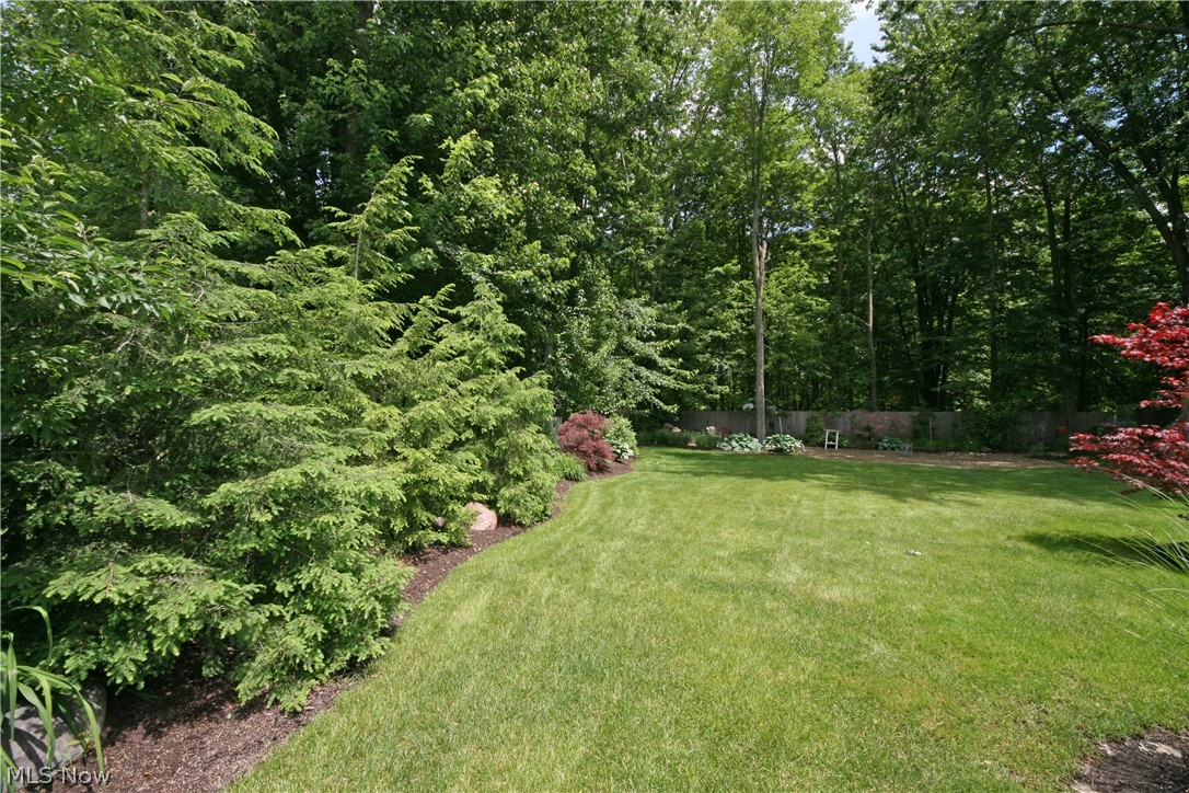 107 Timber Ridge Drive Elyria, OH 44035 - Photo 26 of 34 Row of trees and mature landscaping allow privacy.
