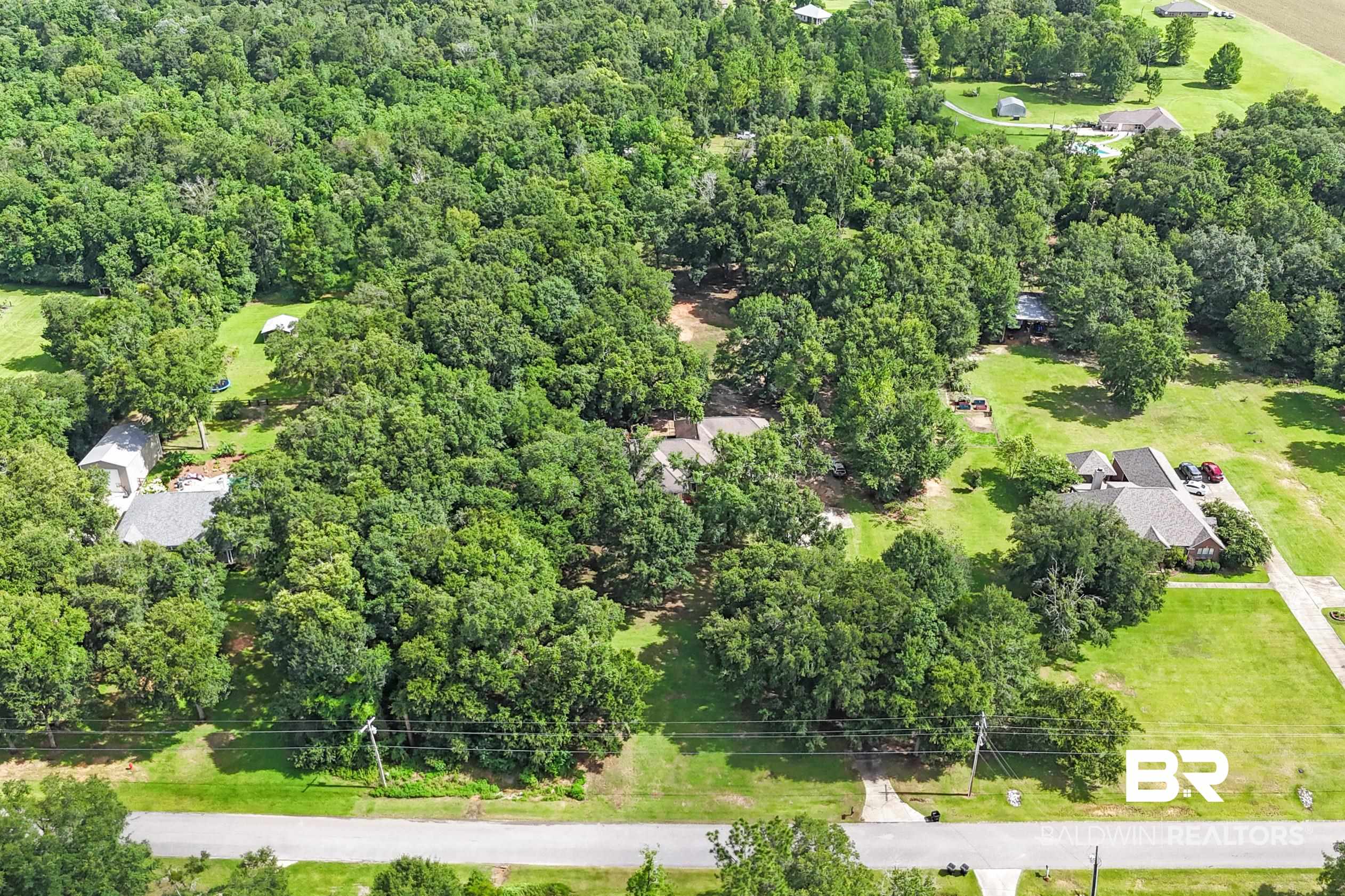 15031 Timber Ridge Drive Loxley, AL 36551 - Photo 6 of 43 Bird's eye view